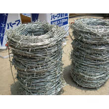Electro Galvanized Steel Iron Barbed Wire